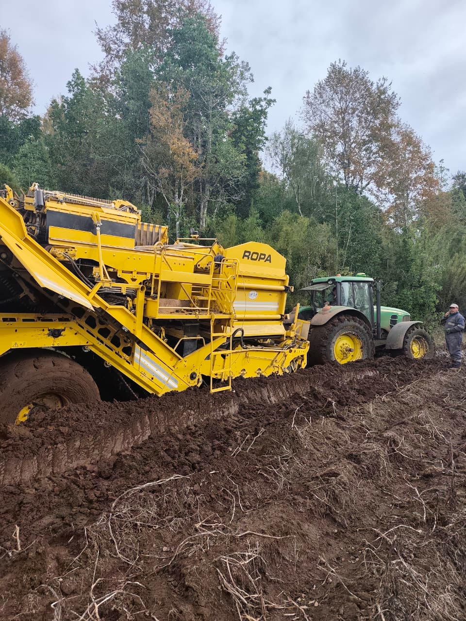 Preparación de suelo en terreno