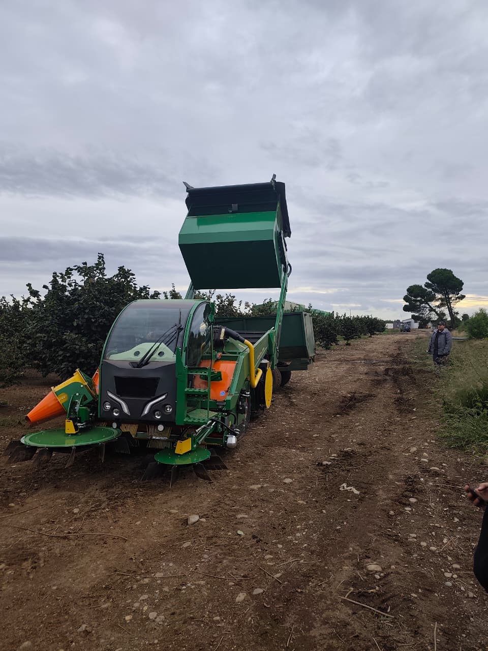 Descarga de frutos secos a carro