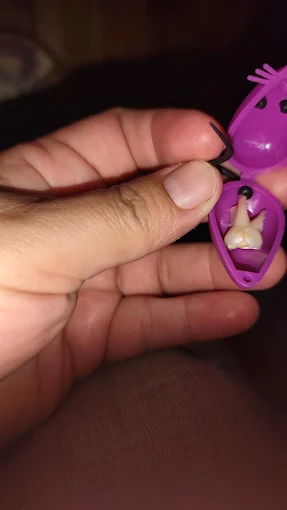 Un diente de leche guardado en una cajita con forma de muela, sostenida en la mano.