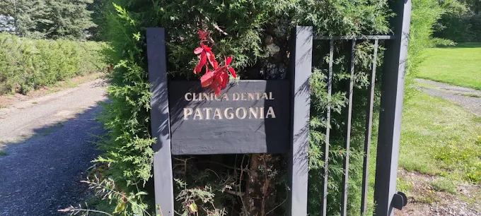 Letrero negro en la entrada del condominio con las letras Clínica Dental Patagonia, entre arbustos.