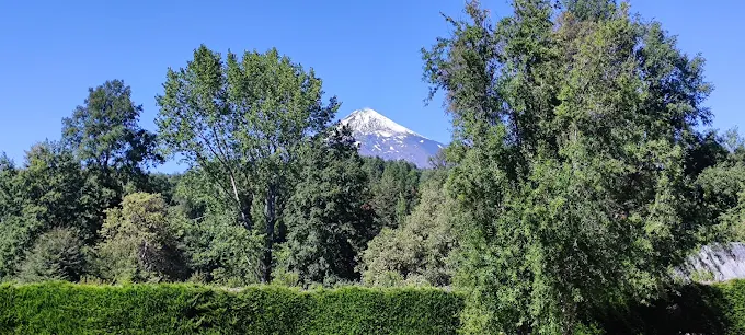 El volcán Villarrica nevado visto desde el jardín de la clínica, por encima de un cerco de árboles.