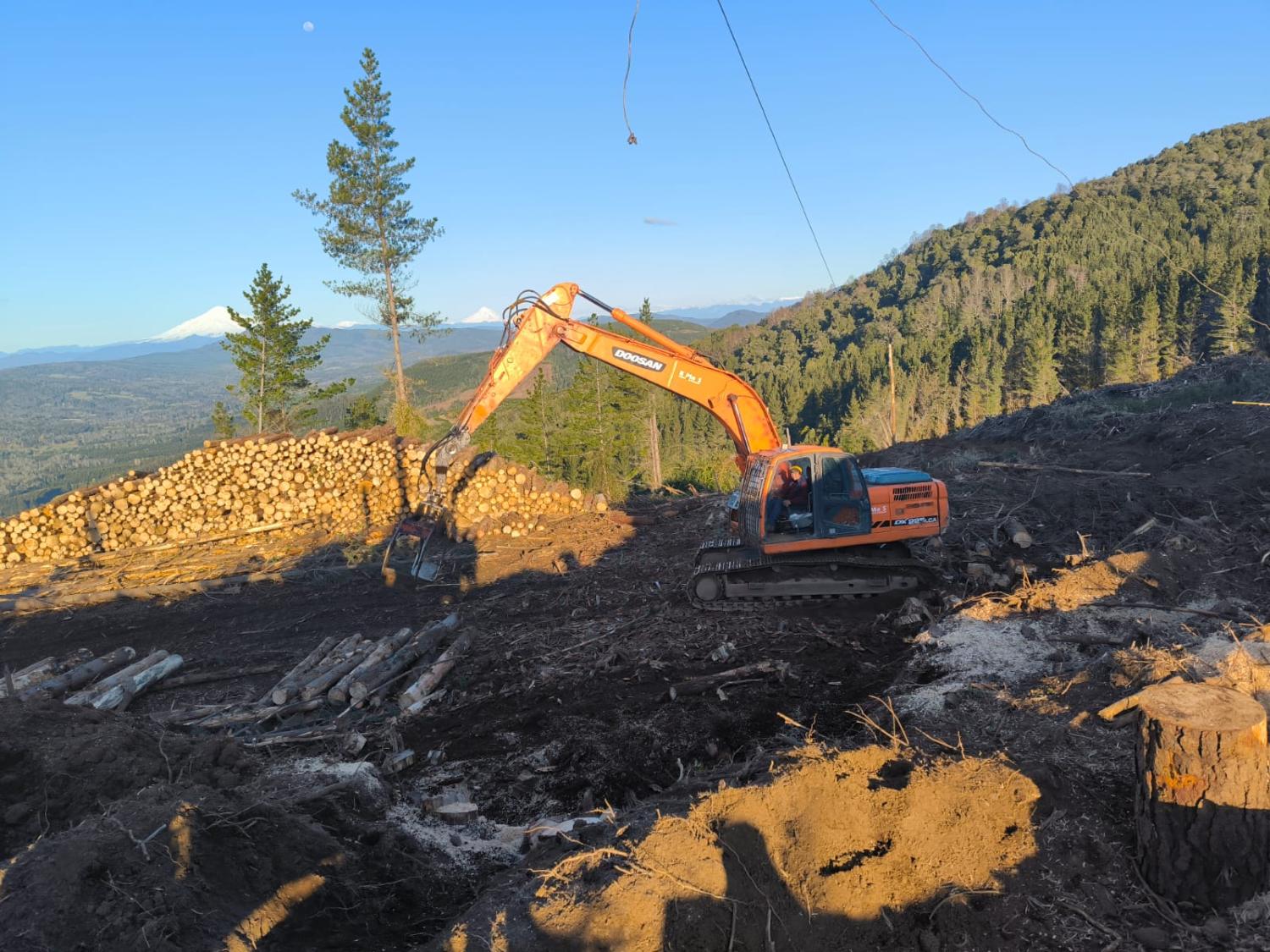 Excavadora Doosan con garra forestal apilando trozas en la cancha de un cerro, con volcanes nevados en el horizonte