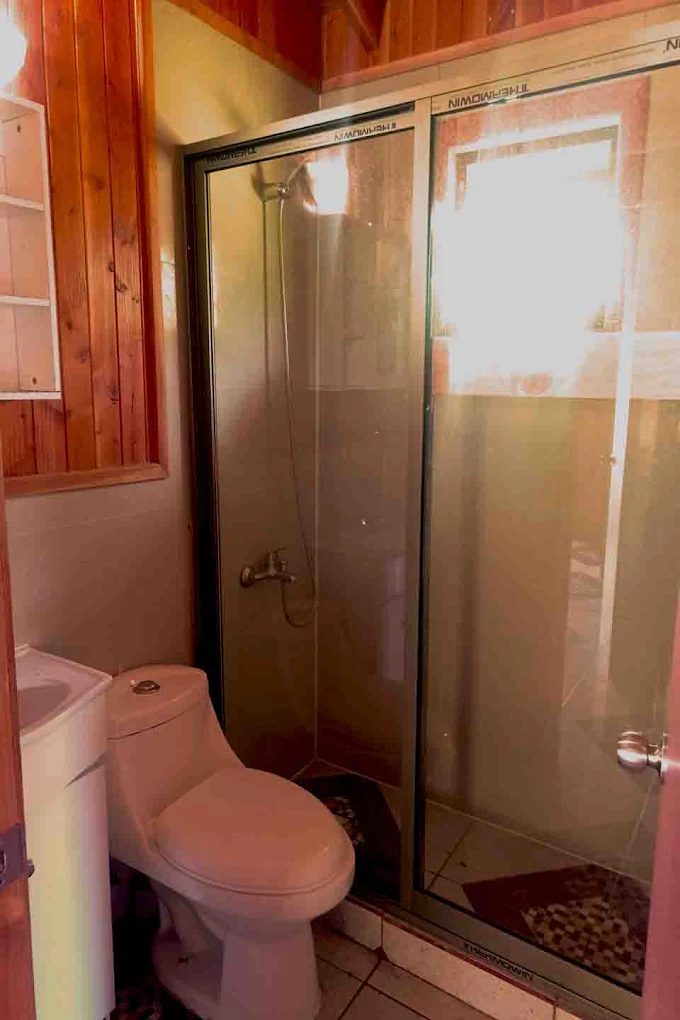 Baño privado con ducha de mampara, lavamanos y muros de madera.