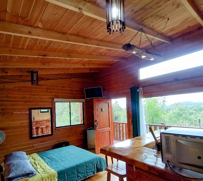 Interior de la Cabaña 4 con techo de vigas de madera