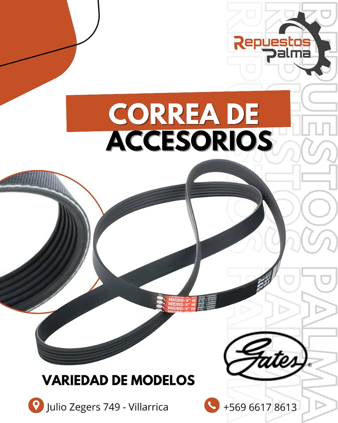Correas de accesorios en Repuestos Palma