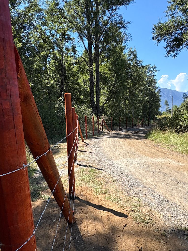 Postes de madera recién plantados con alambre, deslindando un camino de tierra.