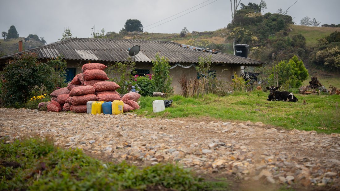 Casa de campo con sacos apilados junto al camino de ripio.